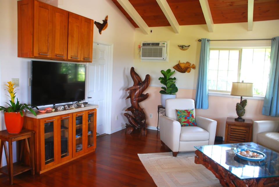 Hawaii gets hot. Enjoy reading on the recliner with fresh breezes or cold A/C.