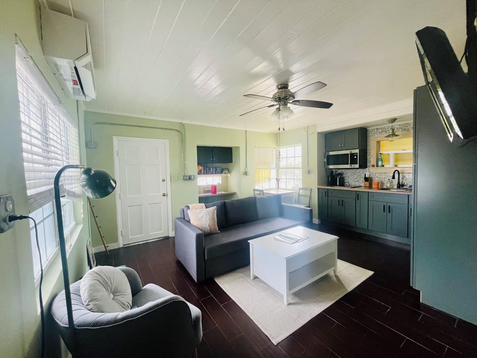 Family room / guest room