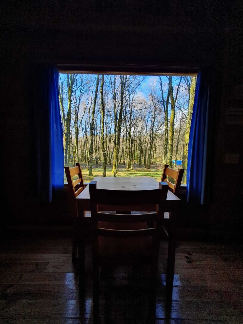 Espaço de Refeição com Vista para a Floresta