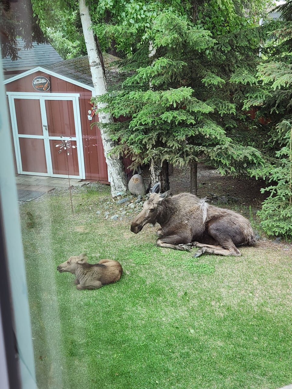 In our backyard!