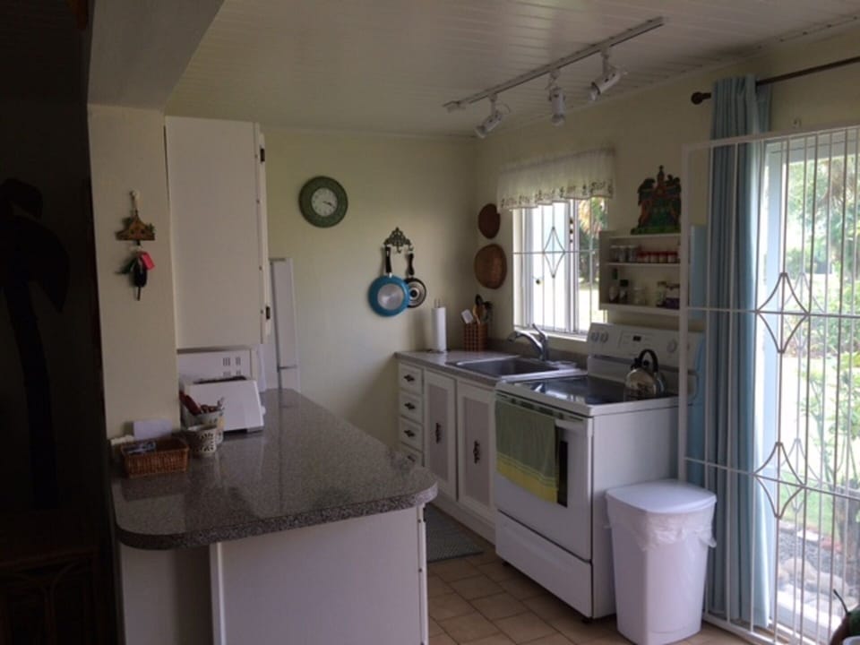 Kitchen Photo #1