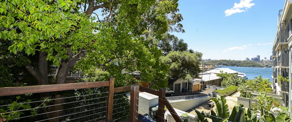 Deck View