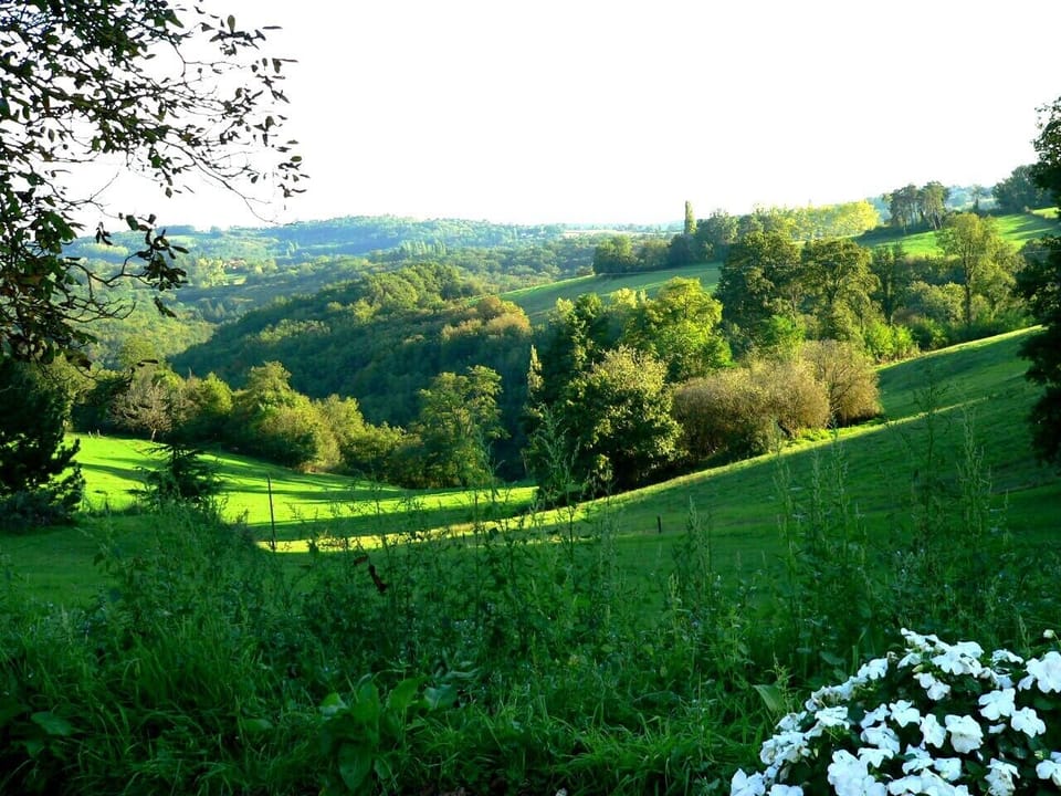 View in the afternoon light