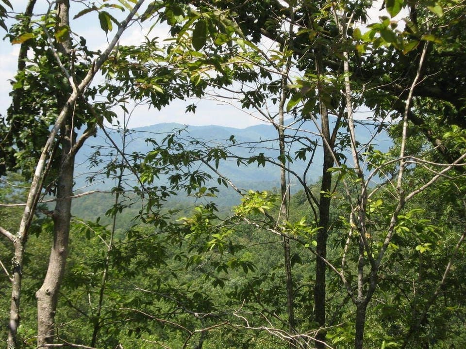 Beautiful view of the rolling Mountains