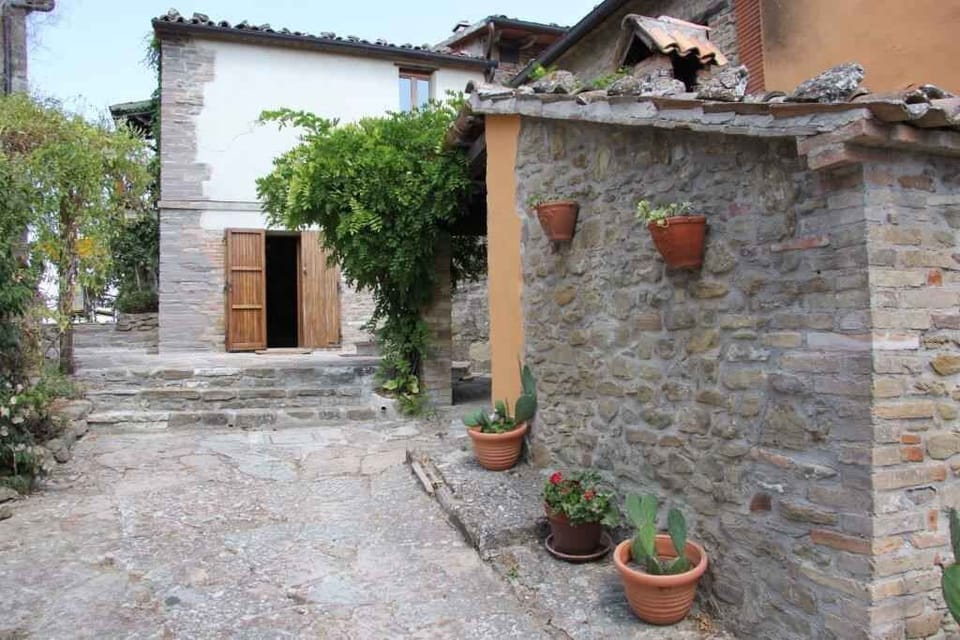 external view