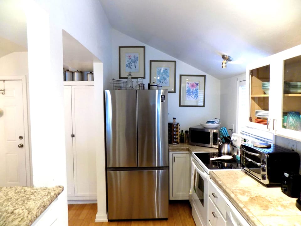 Stainless Steel Fridge1)