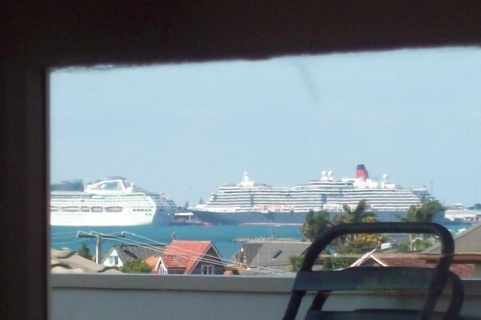 Cruise ships parked for the day