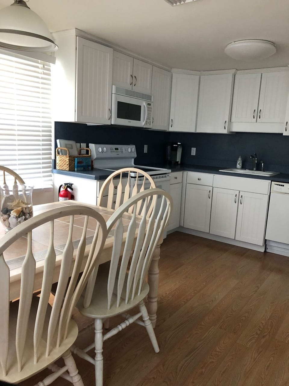 Dining Area and Kitchen