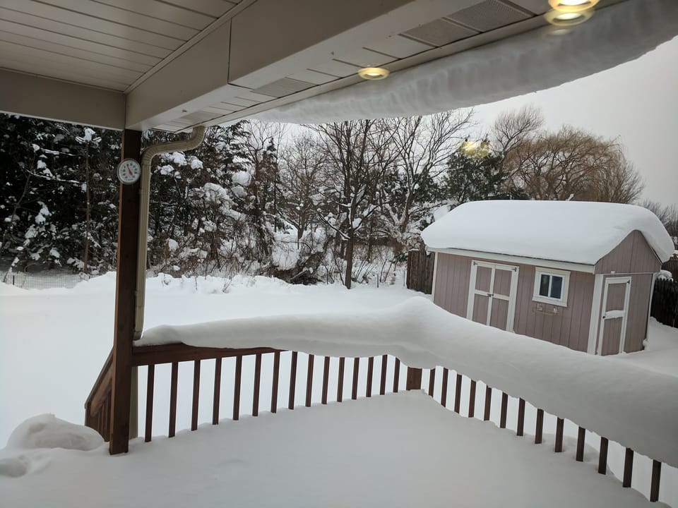 Beautiful snow fun all around