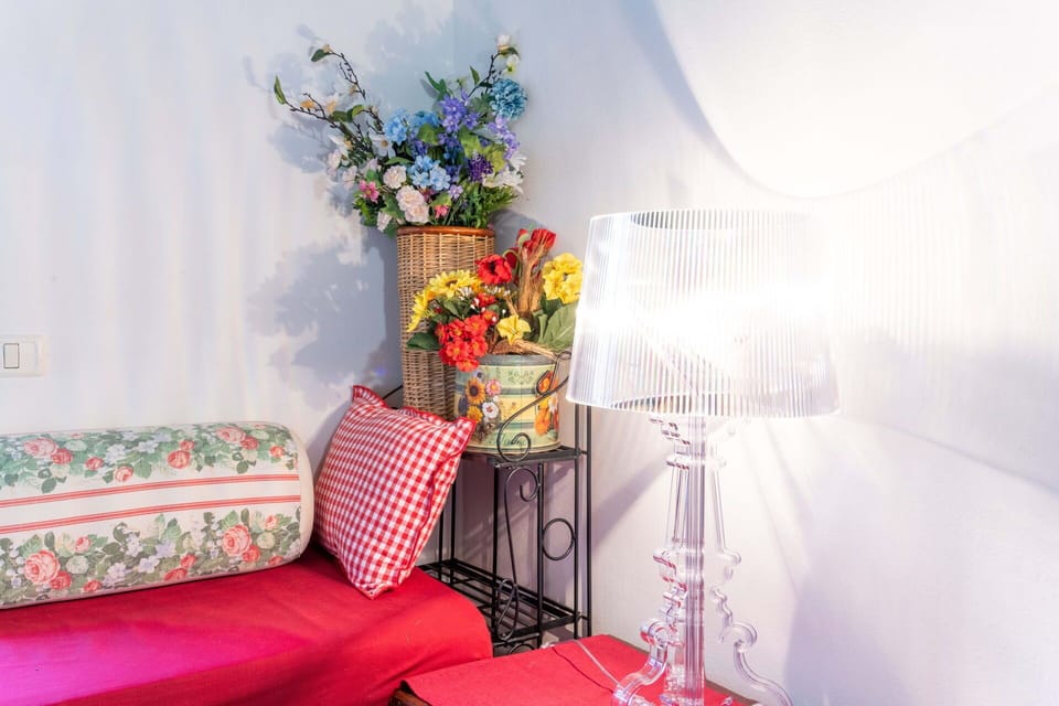 Plant, Flower, White, Textile, Interior Design, Orange, Lighting, Decoration, Pink, Wall