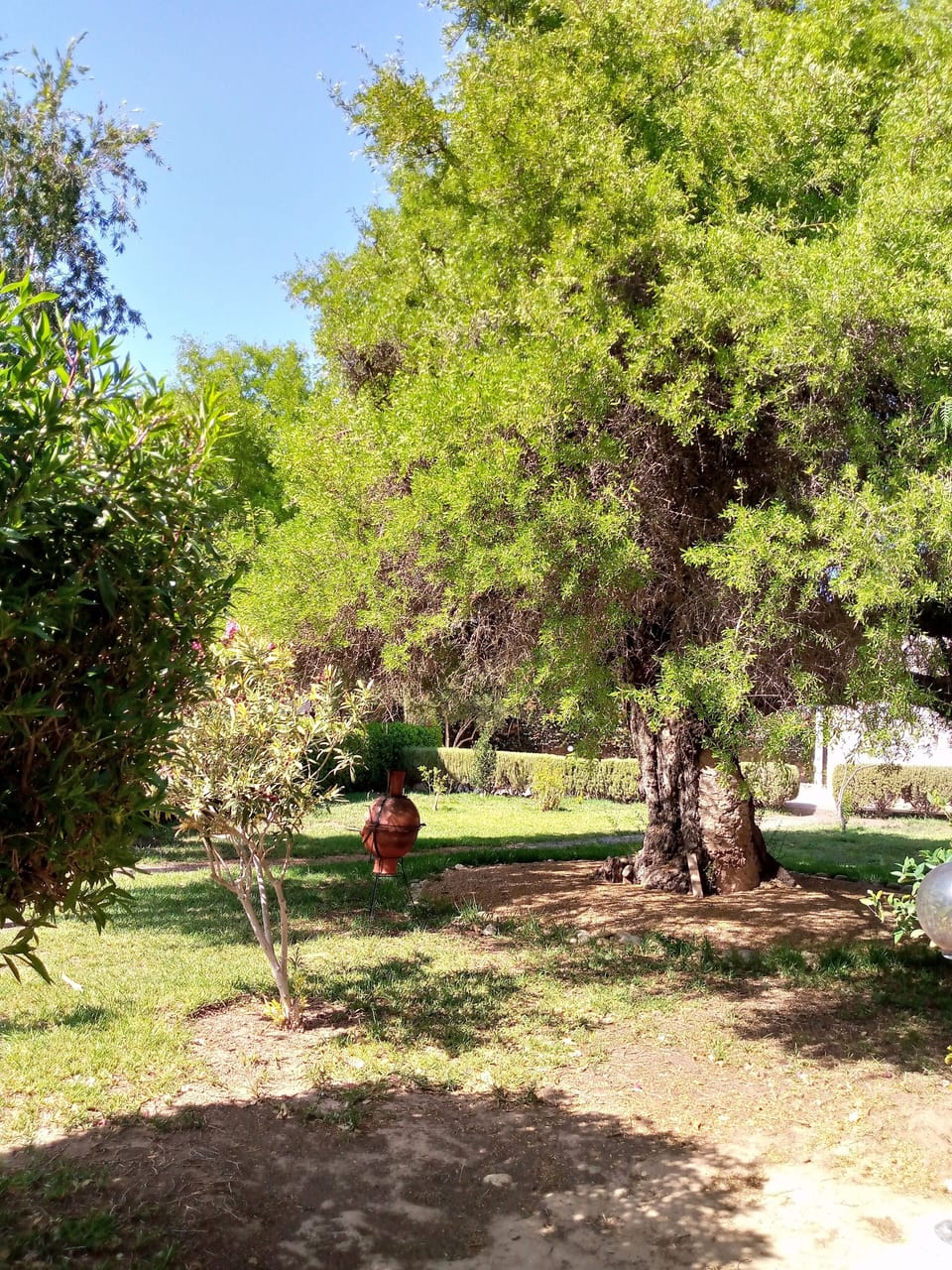 Property grounds