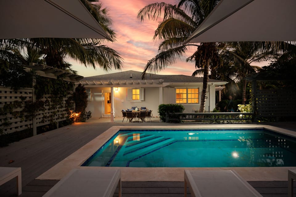One Palm at dusk