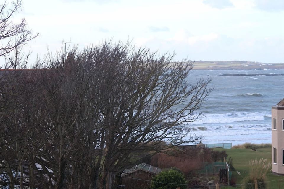 Cwalafila - Rhosneigr