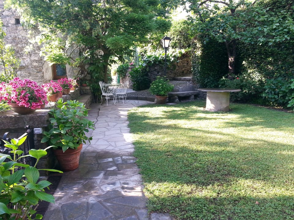 The garden