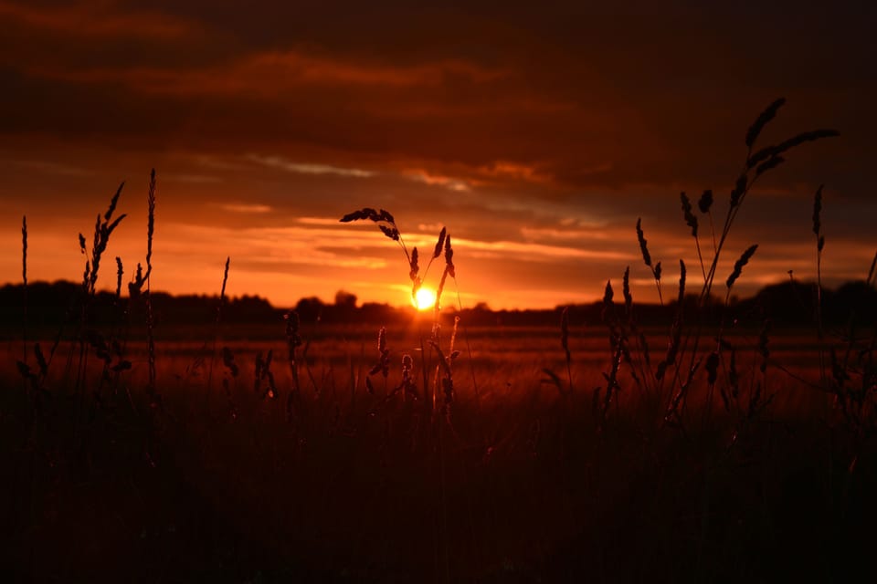Sunset over fields