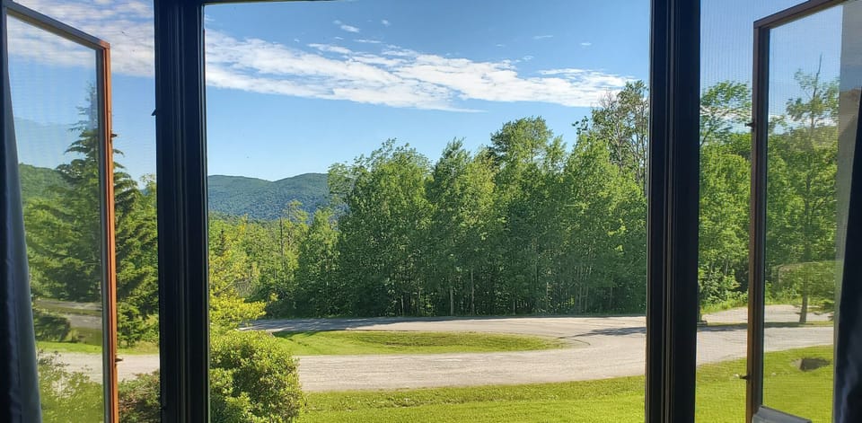 View from the living room & balcony in the summer