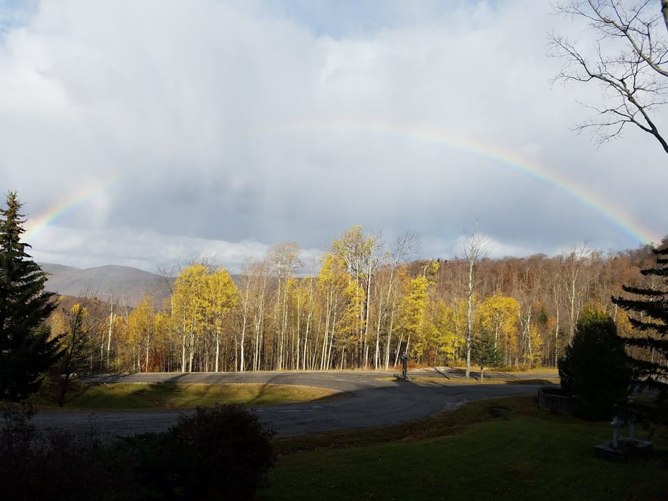View from living room & balcony in the fall