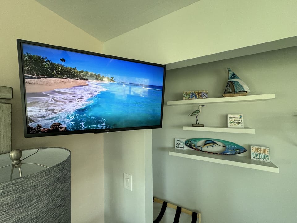 Twin Bedroom TV and large closet!