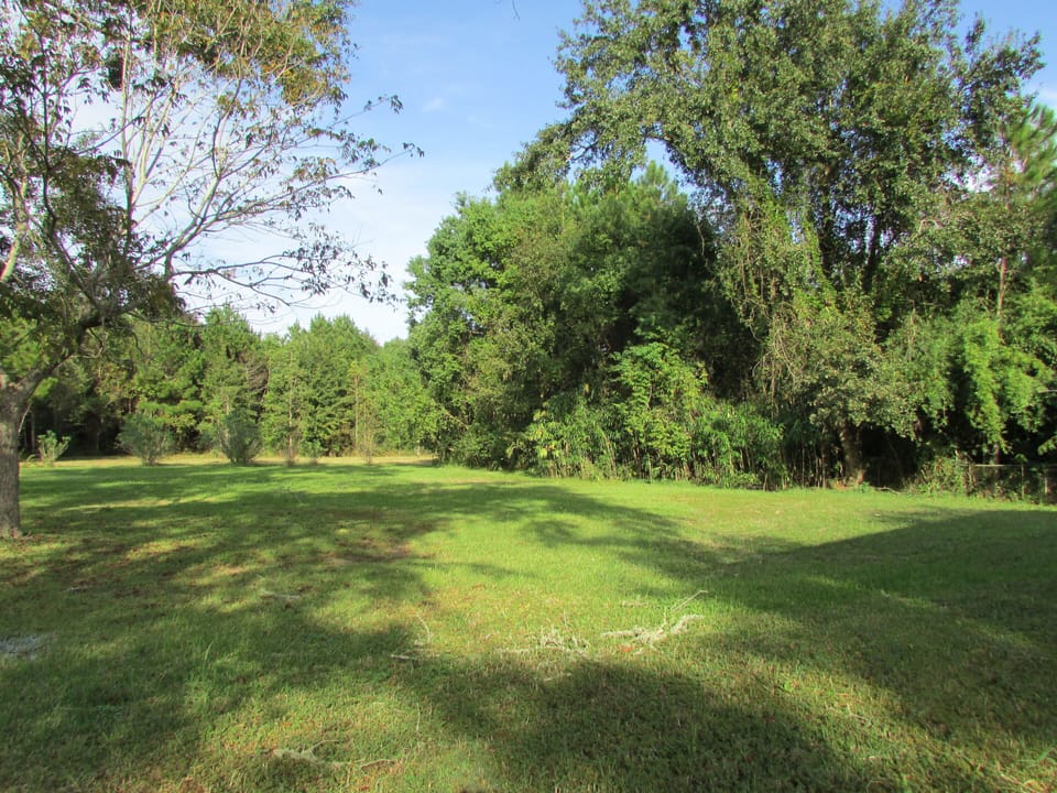 Spacious grounds surround house.