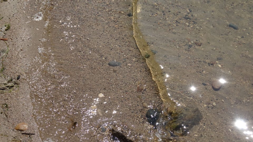 13 + feet of water clarity. Hard sand bottom.