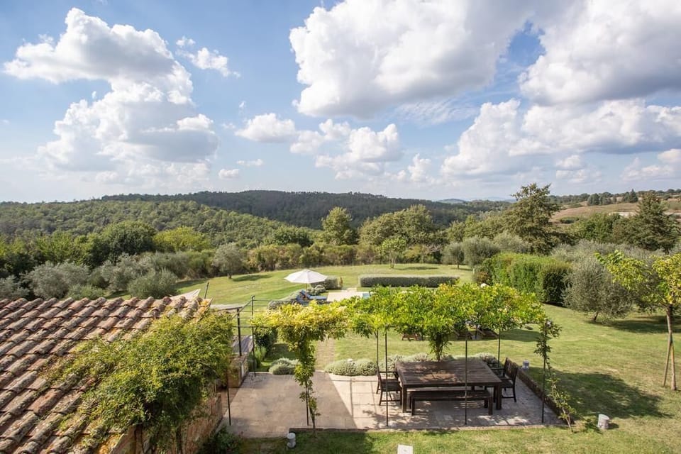 Aerial view of the gardens