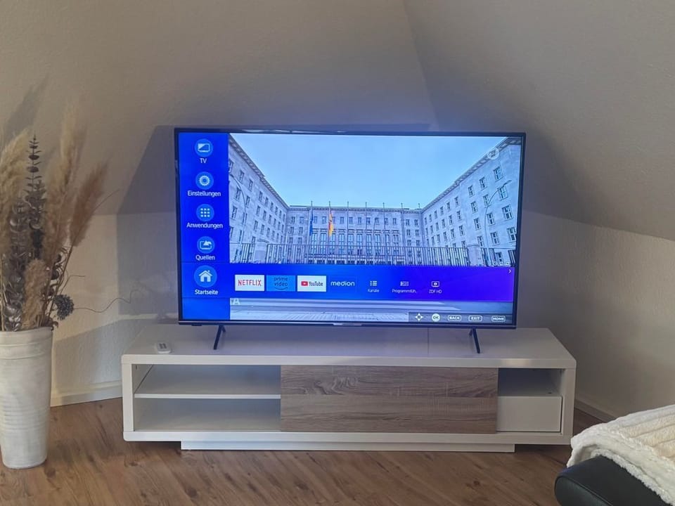 Television