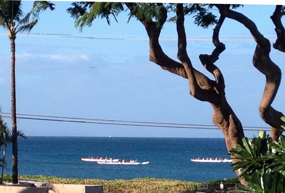 View of the Pacific Ocean from the lanai.