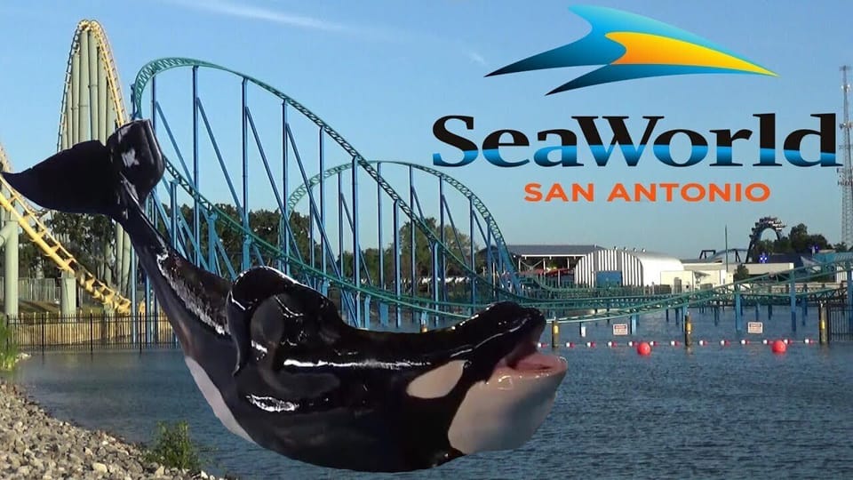 Sea World within a 10-15 minute drive