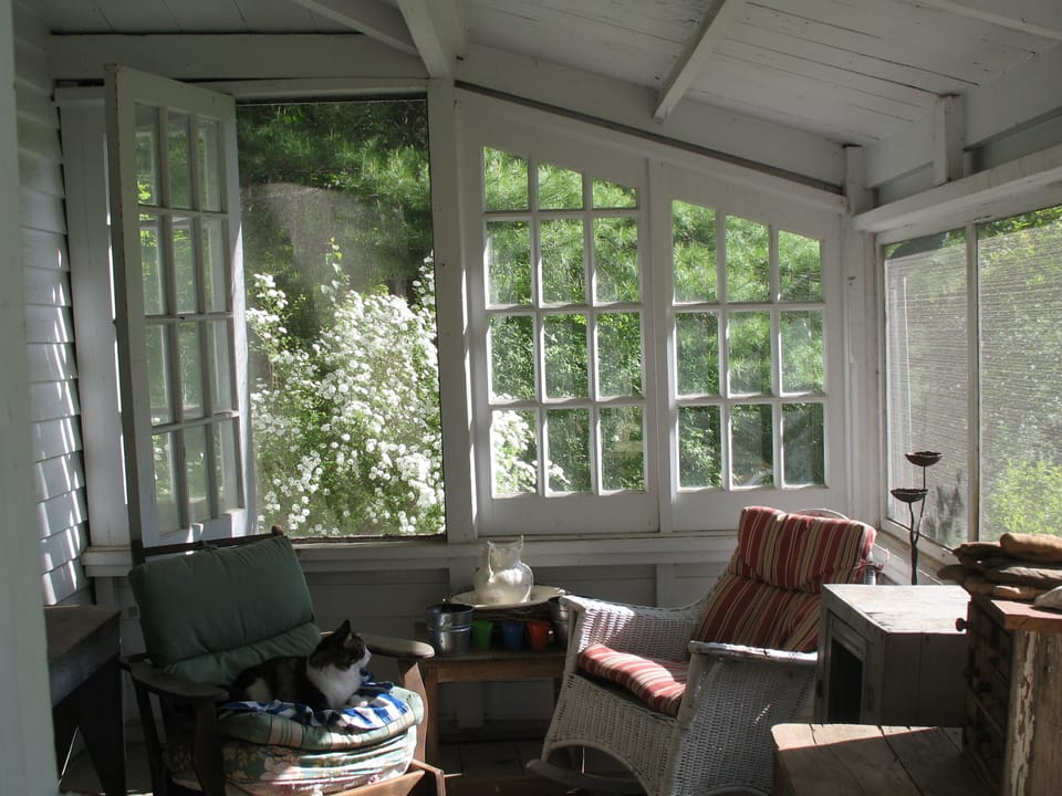 Cozy kitty --enclosed porch