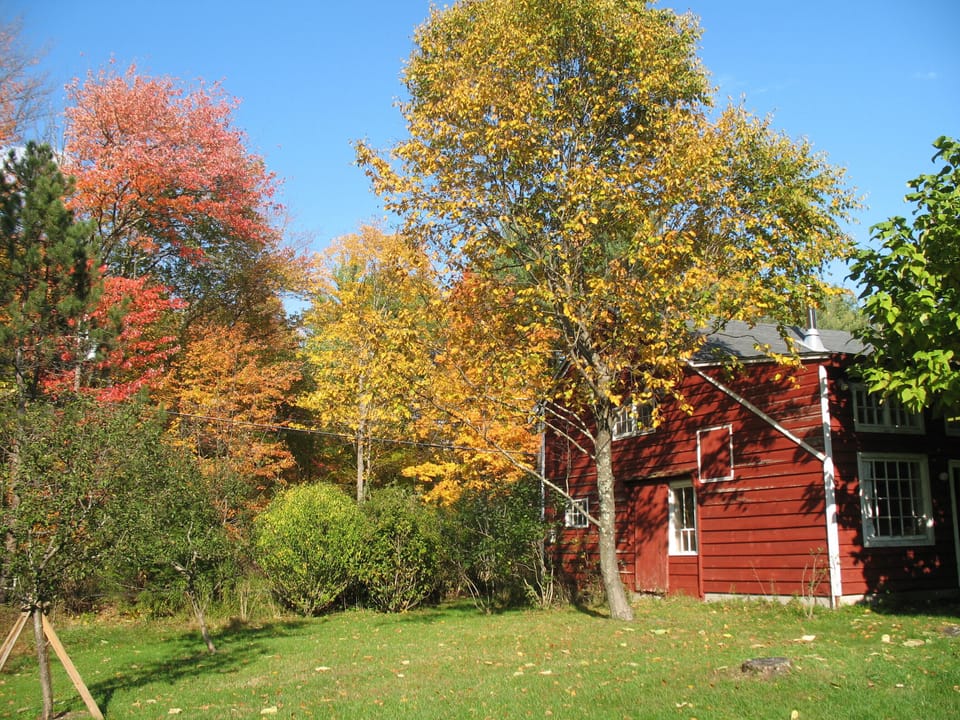 autumn color near barn
