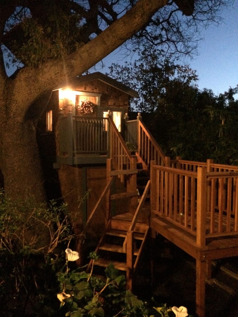Treehouse and Deck