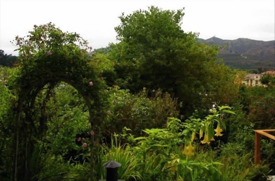 Lower Yard