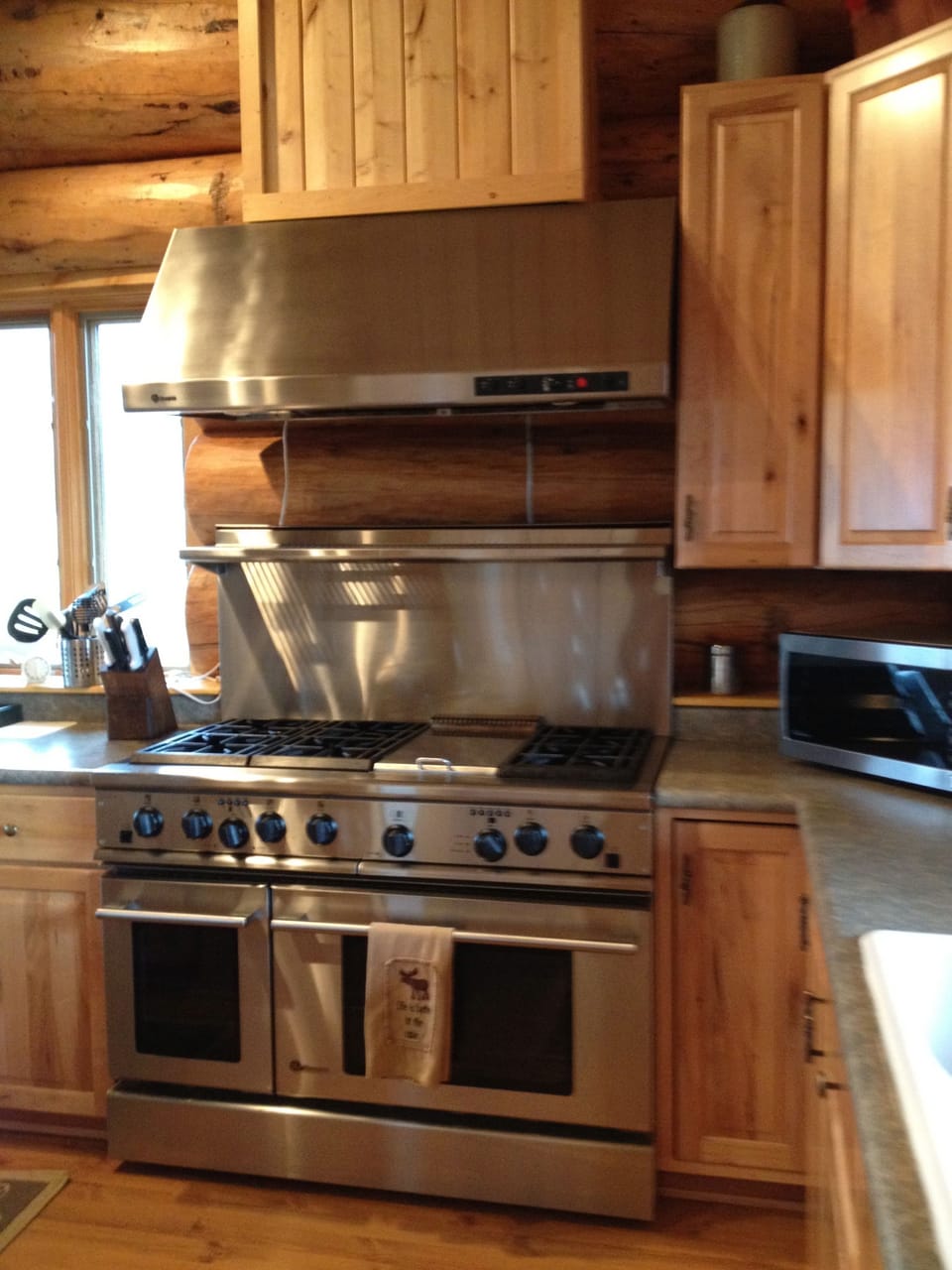 Professional range with griddle