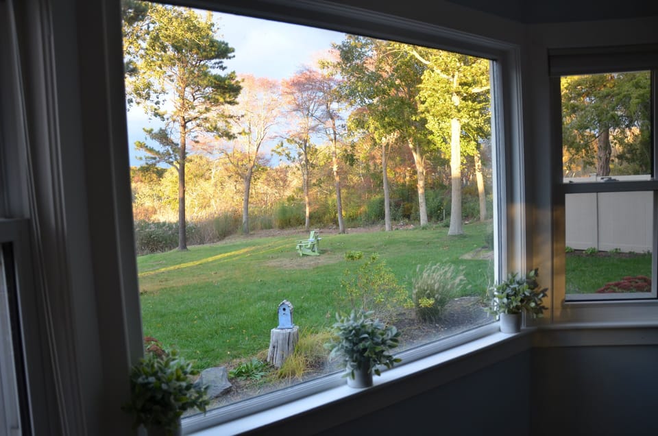 View from the dining table