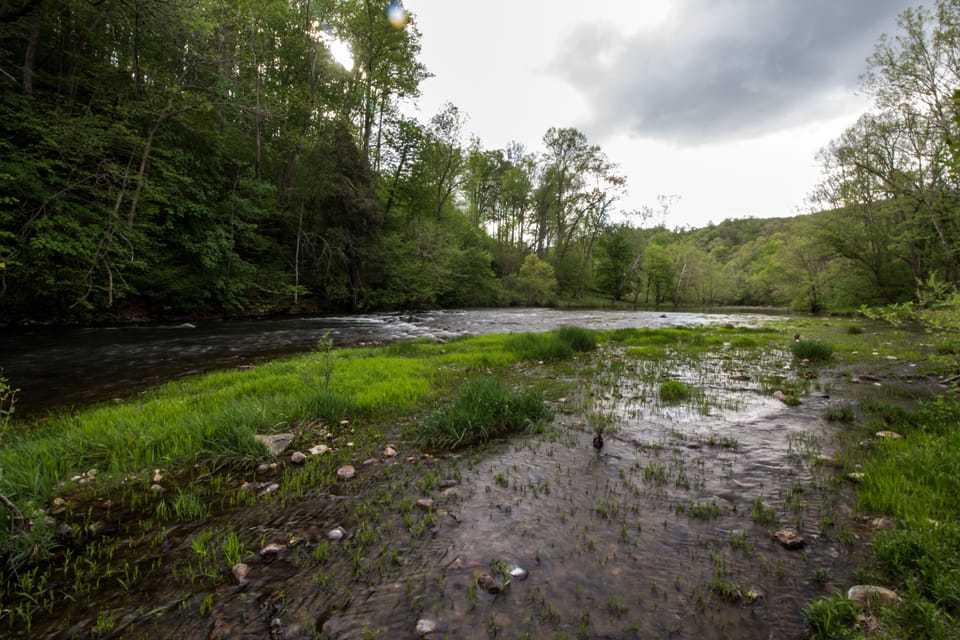 The Red Pine Cottage has private access to 1/2 mile of creek frontage.