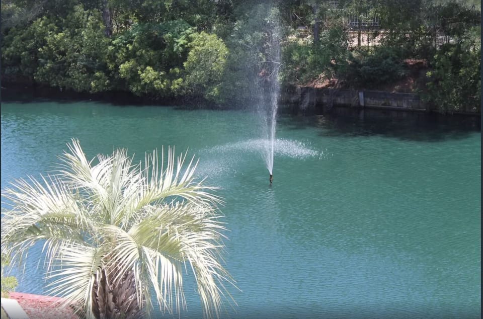 Fountain From Back Patio