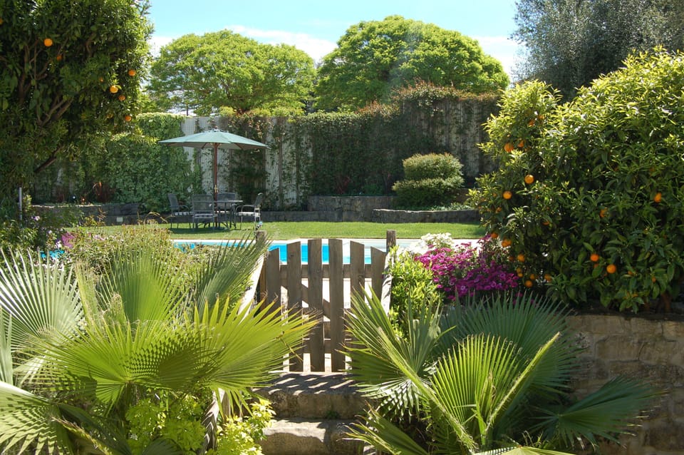 Stairs from lower courtyard garden to upper garden, swimming pool and barbecue.