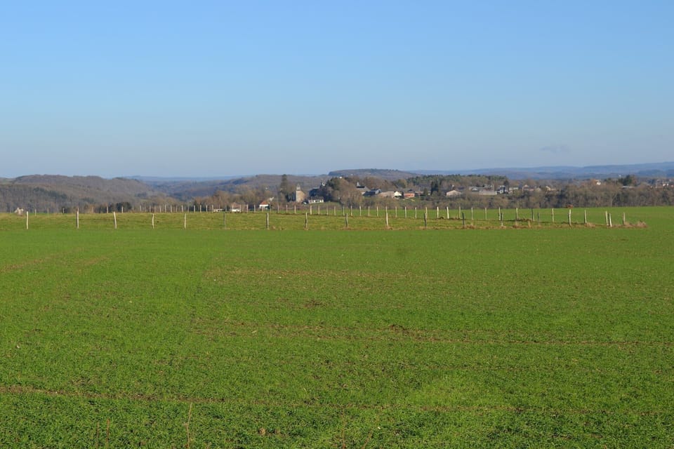 View from Holiday Home [summer]