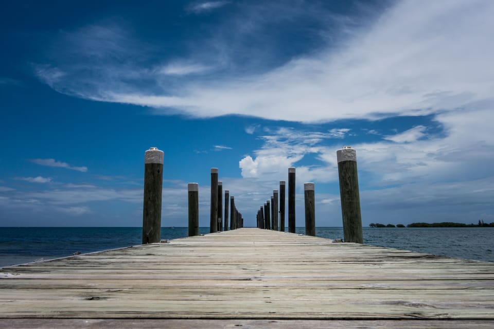 Snorkeling and swimming from our dock  