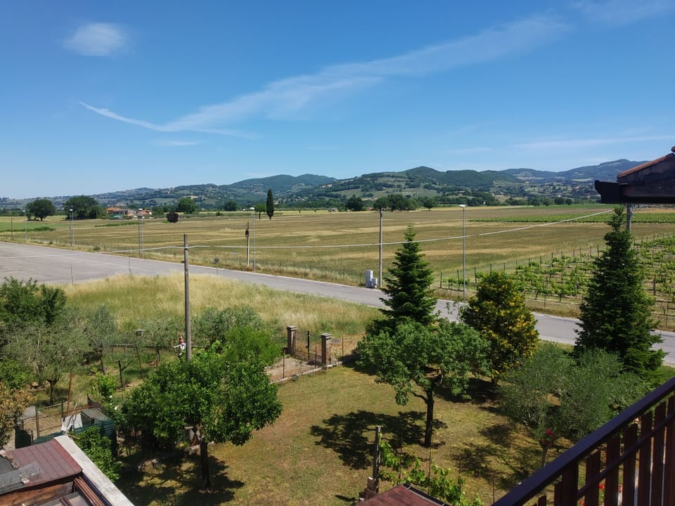 View from property