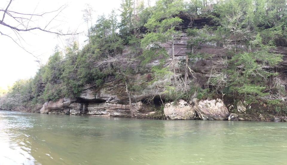 Clear Creek below the cabin