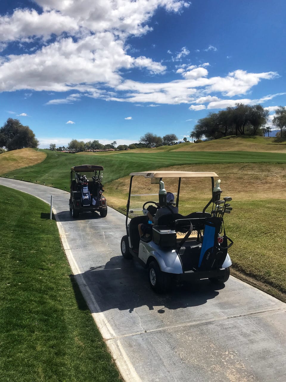 Golfers paradise. Lely is home to 3 courses, 2 of them open to the public.