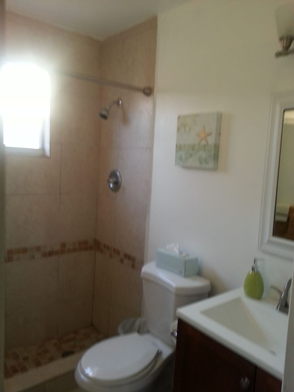 Hall bath & shower