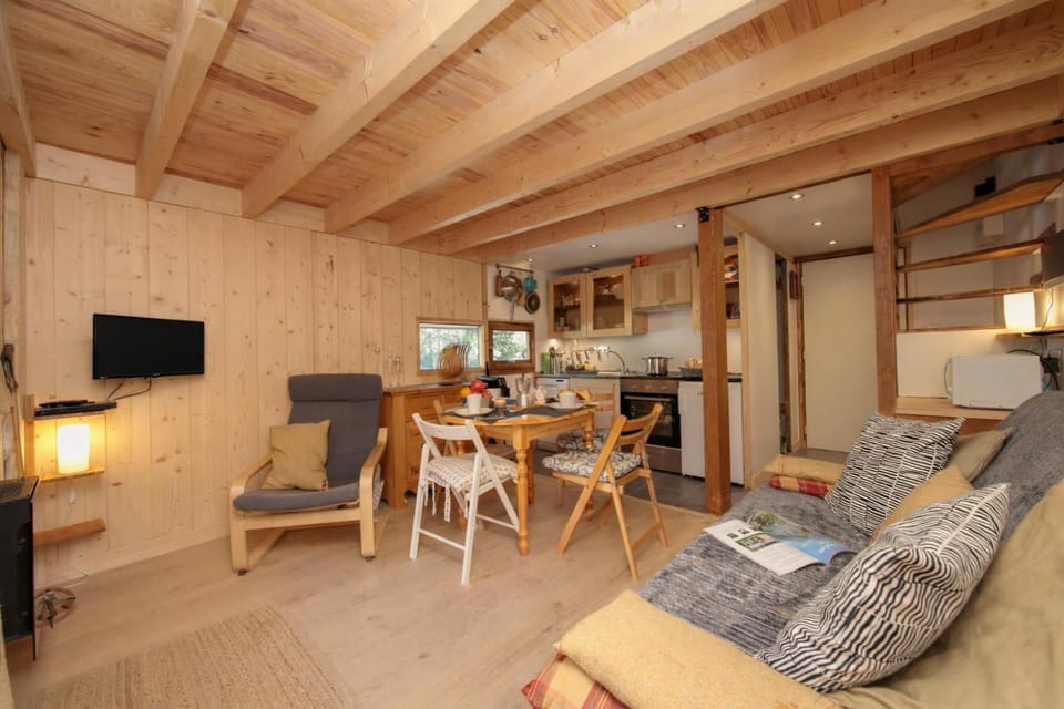 Living area with television