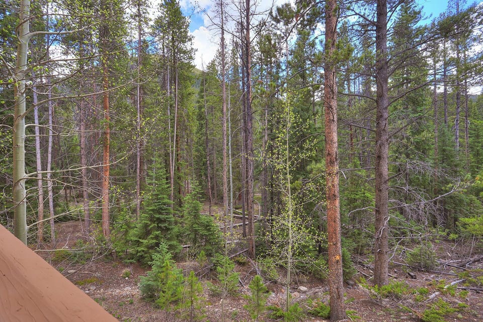 Deck view 