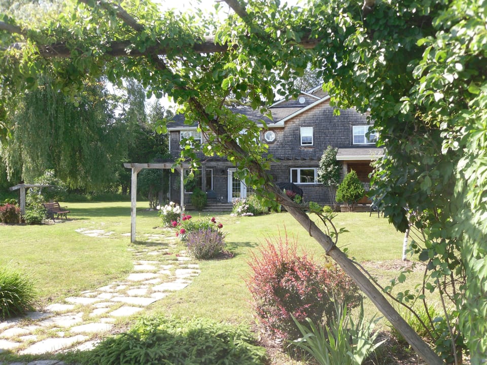 View to house from backyard fields