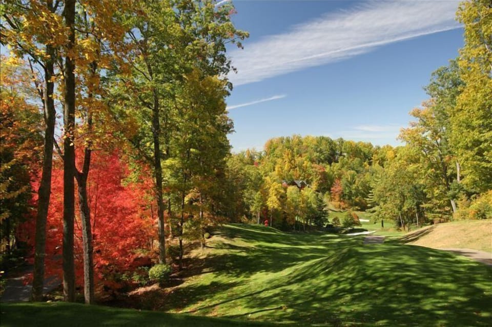 Golf Course View in Early Fall