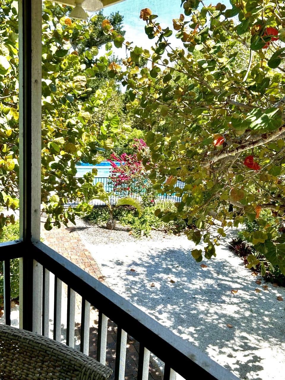 View From Porch