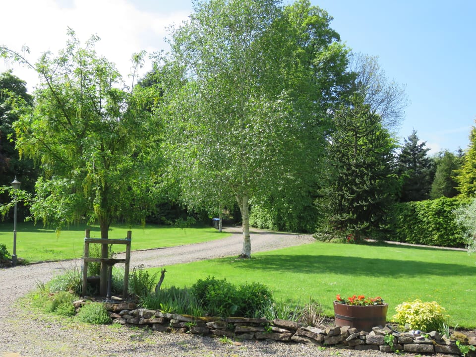 Saddlery cottage driveway