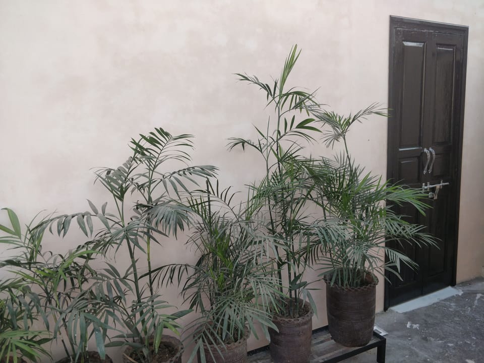 Interior detail